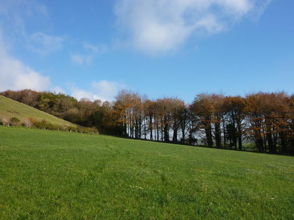 Higher Melcombe Manor Ansty  Экстерьер фото